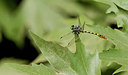 BUITEN BEELD Foto: 281823