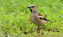 BUITEN BEELD Foto: 281835