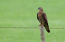 BUITEN BEELD Foto: 281842