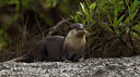BUITEN BEELD Foto: 281856