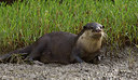 BUITEN BEELD Foto: 281857