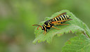 BUITEN BEELD Foto: 281860