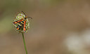 BUITEN BEELD Foto: 281862
