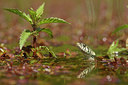 BUITEN BEELD Foto: 281867