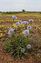 BUITEN BEELD Foto: 281885