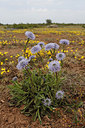 BUITEN BEELD Foto: 281885