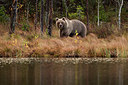 BUITEN BEELD Foto: 281893