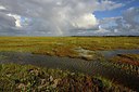 BUITEN BEELD Foto: 281925
