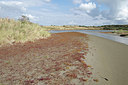 BUITEN BEELD Foto: 282032