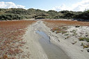 BUITEN BEELD Foto: 282033