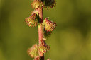 BUITEN BEELD Foto: 282079