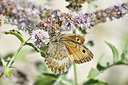 BUITEN BEELD Foto: 282084