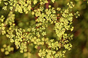 BUITEN BEELD Foto: 282087