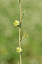 BUITEN BEELD Foto: 282095