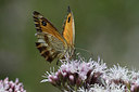 BUITEN BEELD Foto: 282102