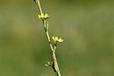 BUITEN BEELD Foto: 282105
