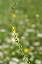 BUITEN BEELD Foto: 282111