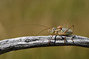 BUITEN BEELD Foto: 282112
