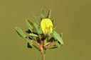 BUITEN BEELD Foto: 282115