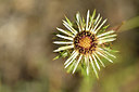 BUITEN BEELD Foto: 282117