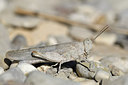 BUITEN BEELD Foto: 282128
