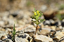 BUITEN BEELD Foto: 282133