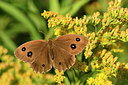 BUITEN BEELD Foto: 282168