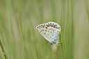 BUITEN BEELD Foto: 282204