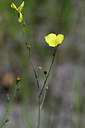 BUITEN BEELD Foto: 282225