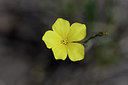 BUITEN BEELD Foto: 282227