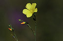 BUITEN BEELD Foto: 282238