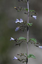 BUITEN BEELD Foto: 282257