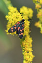 BUITEN BEELD Foto: 282262