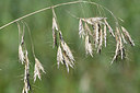 BUITEN BEELD Foto: 282263