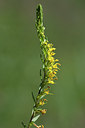 BUITEN BEELD Foto: 282269