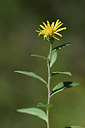 BUITEN BEELD Foto: 282275