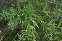BUITEN BEELD Foto: 282277
