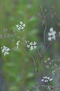 BUITEN BEELD Foto: 282281