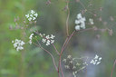 BUITEN BEELD Foto: 282283