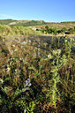 BUITEN BEELD Foto: 282289