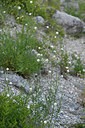 BUITEN BEELD Foto: 282299