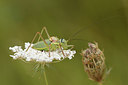 BUITEN BEELD Foto: 282314