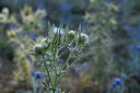 BUITEN BEELD Foto: 282317
