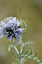 BUITEN BEELD Foto: 282318