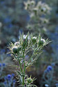 BUITEN BEELD Foto: 282319