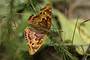 BUITEN BEELD Foto: 282332