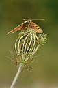 BUITEN BEELD Foto: 282336