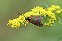 BUITEN BEELD Foto: 282352