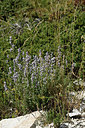 BUITEN BEELD Foto: 282363