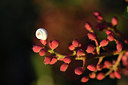 BUITEN BEELD Foto: 282411